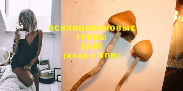 гашишное масло Ельня