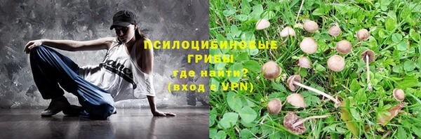 бошки Елизово