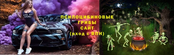 бошки Елизово